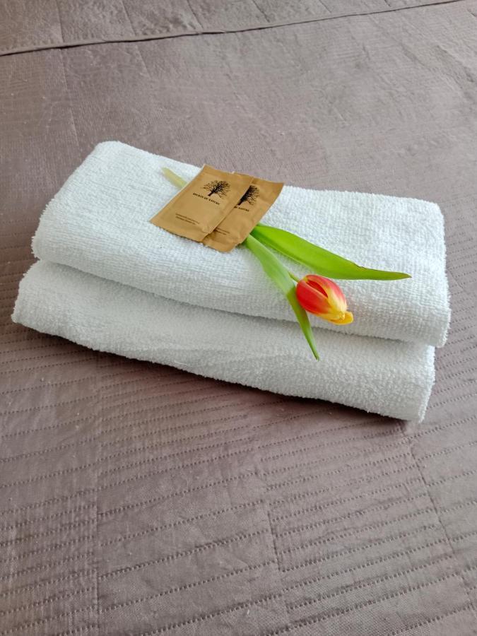 Apartament Glamour Chełm 외부 사진